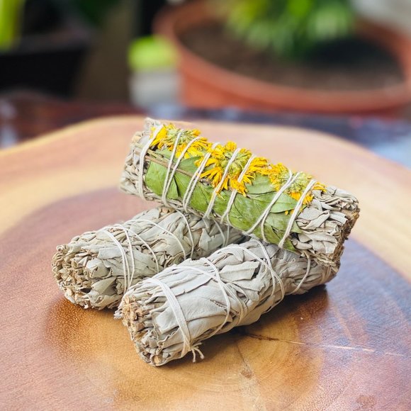 Organic Sage Variety 3 Pack( 4 Inch ) - Picture 4 of 5